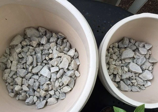 國外園藝專家說在盆底放石頭是錯的
