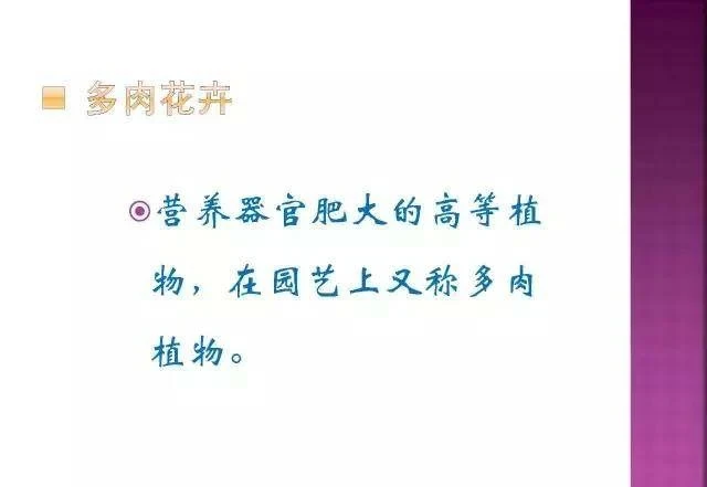 超全常見花卉植物圖譜(1332種),再也不怕不認識花了
