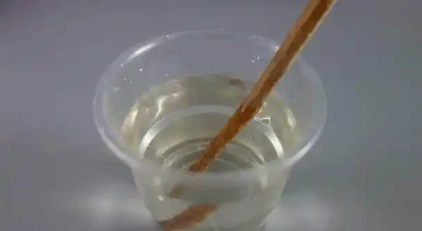 自制盆栽「營養液」,它才是花花草草的救命藥,促長根開花效果好