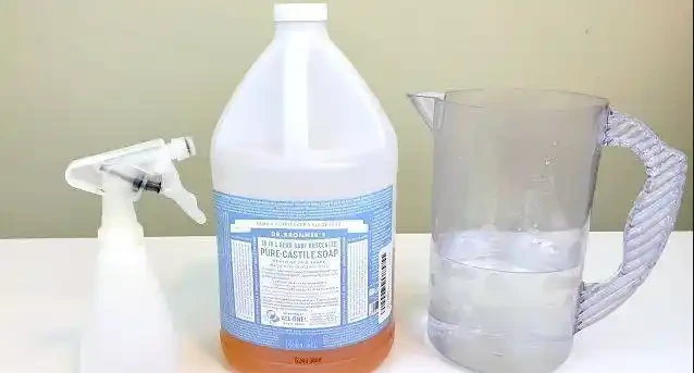 花葉上白色的粉末,仔細看才發現是害蟲