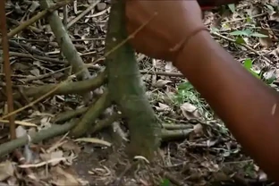 盆景技法：如何快速增粗樹幹——破幹增粗法