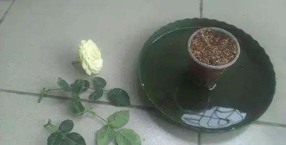 插枝玫瑰太簡單，一年四季都能活，告訴你個小竅門
