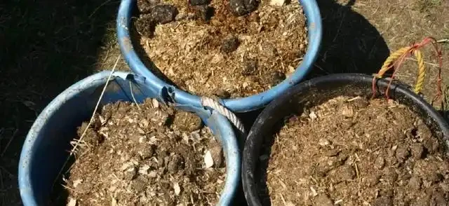 自制肥料的9種常見材料，用這些技巧就能促進植物生長
