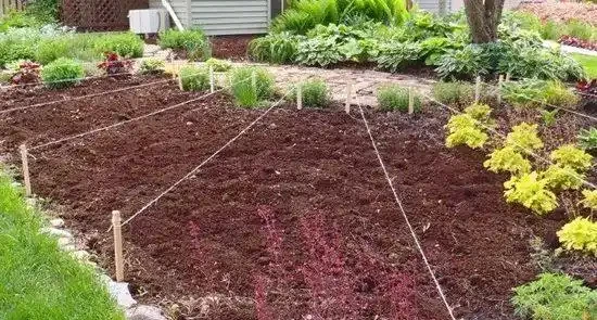 自制肥料的9種常見材料，用這些技巧就能促進植物生長