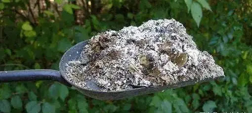 自制肥料的9種常見材料，用這些技巧就能促進植物生長