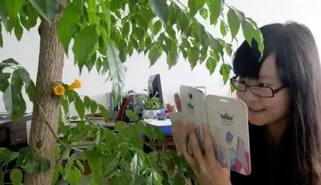 家裡的綠植花草什麼時候施氮肥、磷肥、鉀肥,一次性說清楚了!