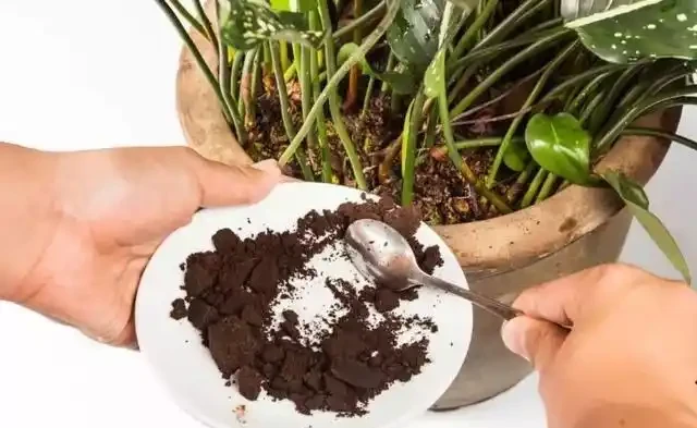 自制有機肥料的8種方法,用到的都是生活中的廢棄物