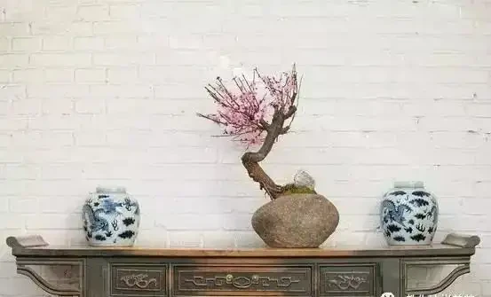 這5種木本花，漂亮又好養，養一盆家裡馬上不一樣！