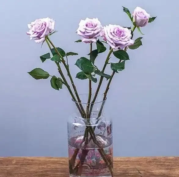 收到的玫瑰花束可以試著水耕,就算不能長根,也能保持新鮮!