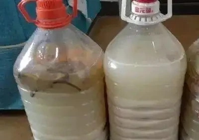 養花不能亂施肥,會用3種「花肥」,不黃葉,長得旺,開花猛