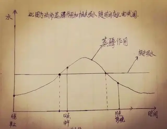 蓮花掌葉子蔫蔫的?聽小飛說常見的蓮花掌萎蔫現象!