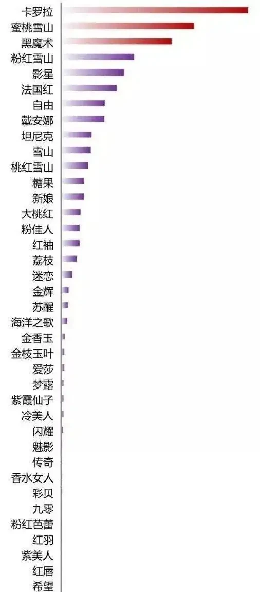 市面上最受歡迎玫瑰排行榜
