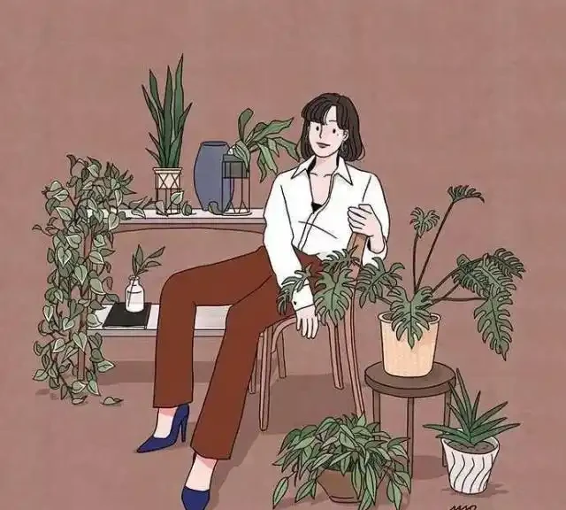 市面上最受歡迎玫瑰排行榜