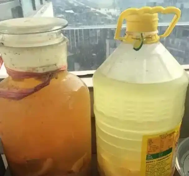 淘米水直接澆水?別被忽悠了,沒用對變成「毒水」,澆啥死啥