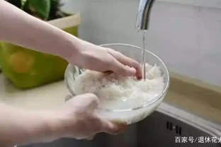 淘米水直接澆水？別被忽悠了，沒用對變成「毒水」，澆啥死啥