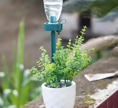快「犧牲」的花,其實還有「救」,這5種「復活法」,養得更茂盛