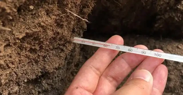 10天自制「有機肥」，第3天溫度達70度，羊糞「好氧」發酵教程
