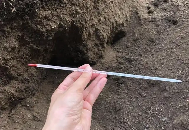 10天自制「有機肥」，第3天溫度達70度，羊糞「好氧」發酵教程