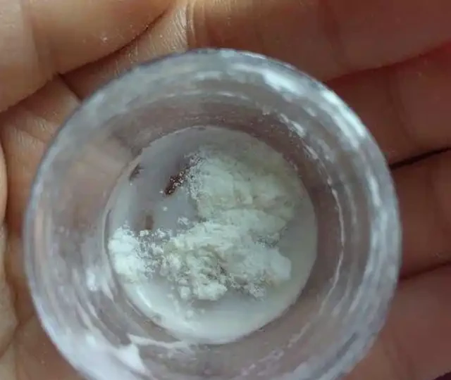 發財樹喜歡的「1種液體」,比「長根水」好用,澆一下就滿盆!