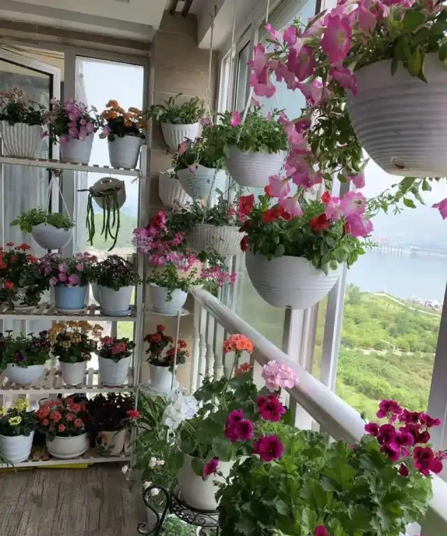 11種花卉,專吸二手菸,養家裡「空氣好」,越養越茂密