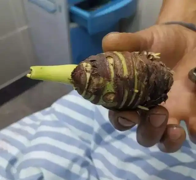 圖片來源:楚天交通廣播