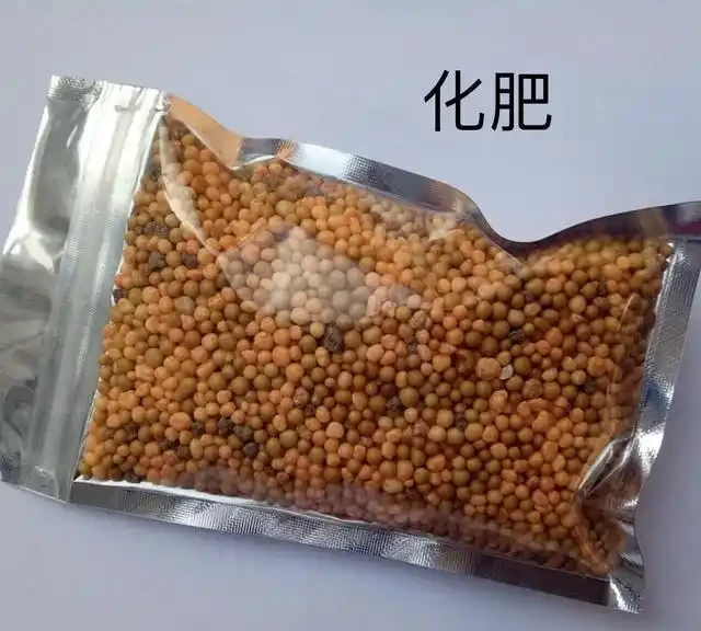 玫瑰花後要補肥?用化肥還是有機肥,多久用一次,一次放多少?
