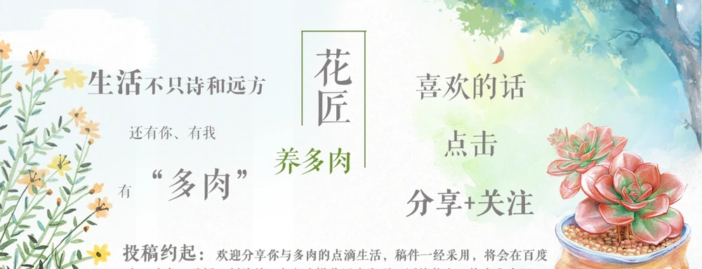 多肉葉子突然掉了一地？不要急，這些事情要了解
