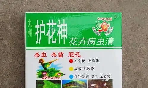 養的玫瑰幾天不見,生了一波蟲害,葉子都快吃光了