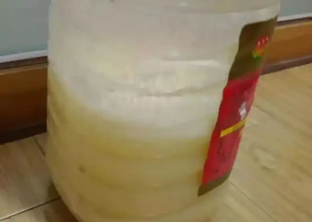 淘米水不發酵直接澆花,沒死反而長得旺,原來多做了一步