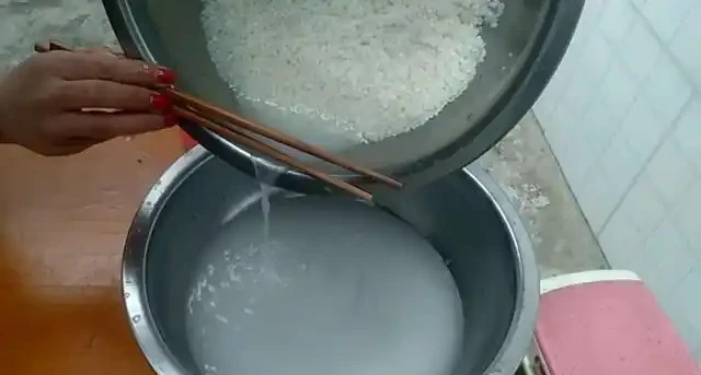 淘米水不發酵直接澆花,沒死反而長得旺,原來多做了一步