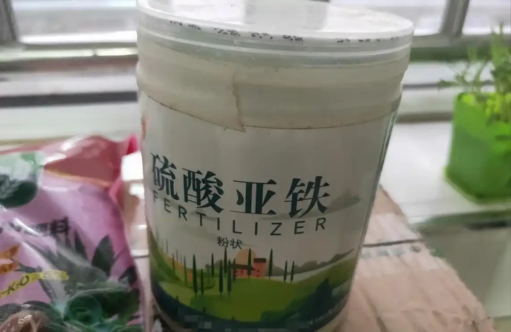 給花卉使用「硫酸亞鐵」,「時機」要選對,不然很容易「燒根」!