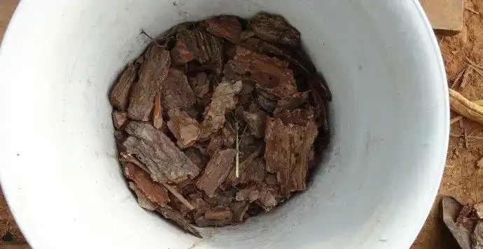 養花用上這4種小東西墊盆底,排水好、又透氣,花卉不腐根