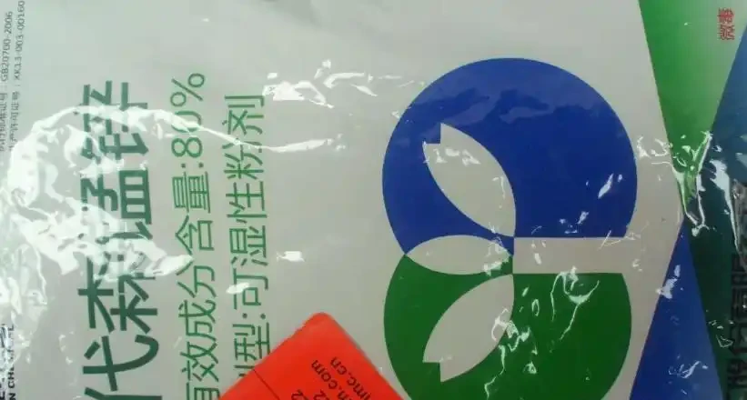 月季得了黑斑病?做好這4點工作,讓黑斑無處可躲!