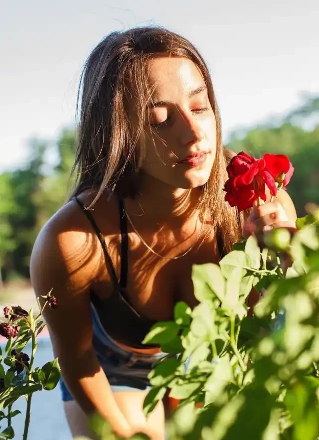 玫瑰花枯萎了,得知原因後一個舉動讓玫瑰開花壓彎枝,花友必看