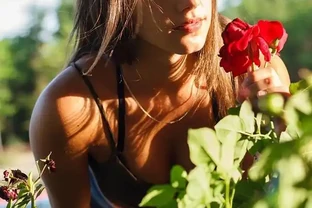 玫瑰花枯萎了，得知原因後一個舉動讓玫瑰開花壓彎枝，花友必看