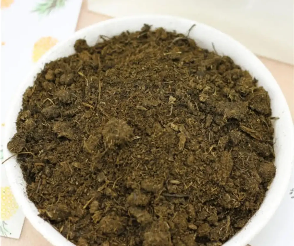 家中養花,4種材料墊盆底,排水、透氣,避免花卉腐根