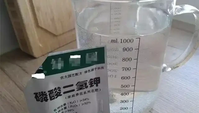 養花必備「3種肥」,啥花都能用,每月花盆撒一點,嗖嗖滿盆