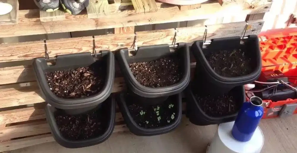 瞭解4種肥料,新手也能養好植物,不怕植物不開花,幼苗也能長壯