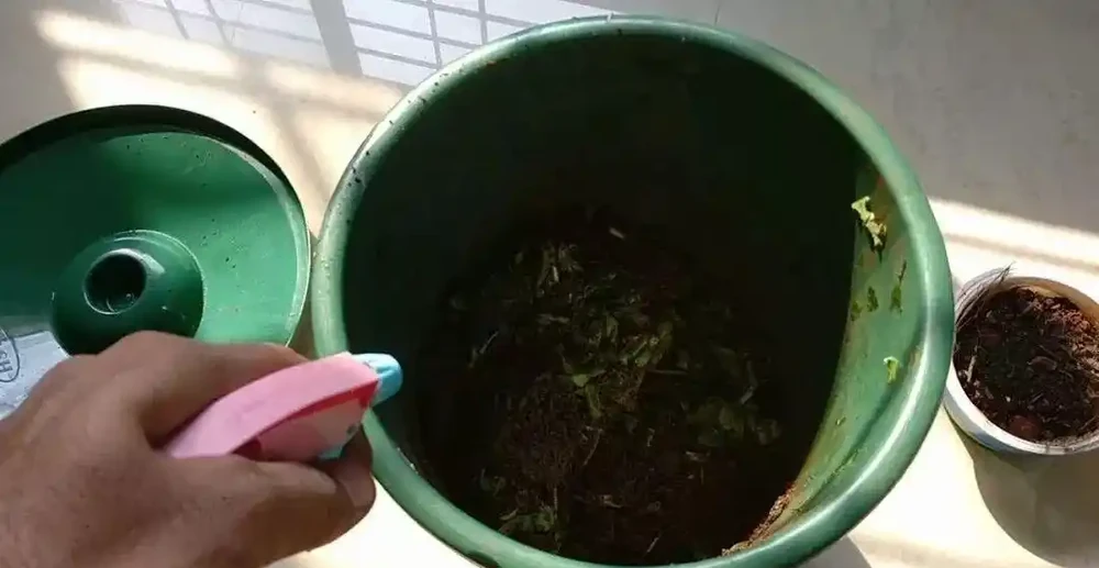 瞭解4種肥料,新手也能養好植物,不怕植物不開花,幼苗也能長壯