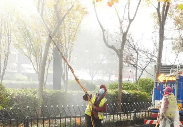 苗木移植後，葉片乾枯、變黃、脫落的可能原因及相應的解決方法