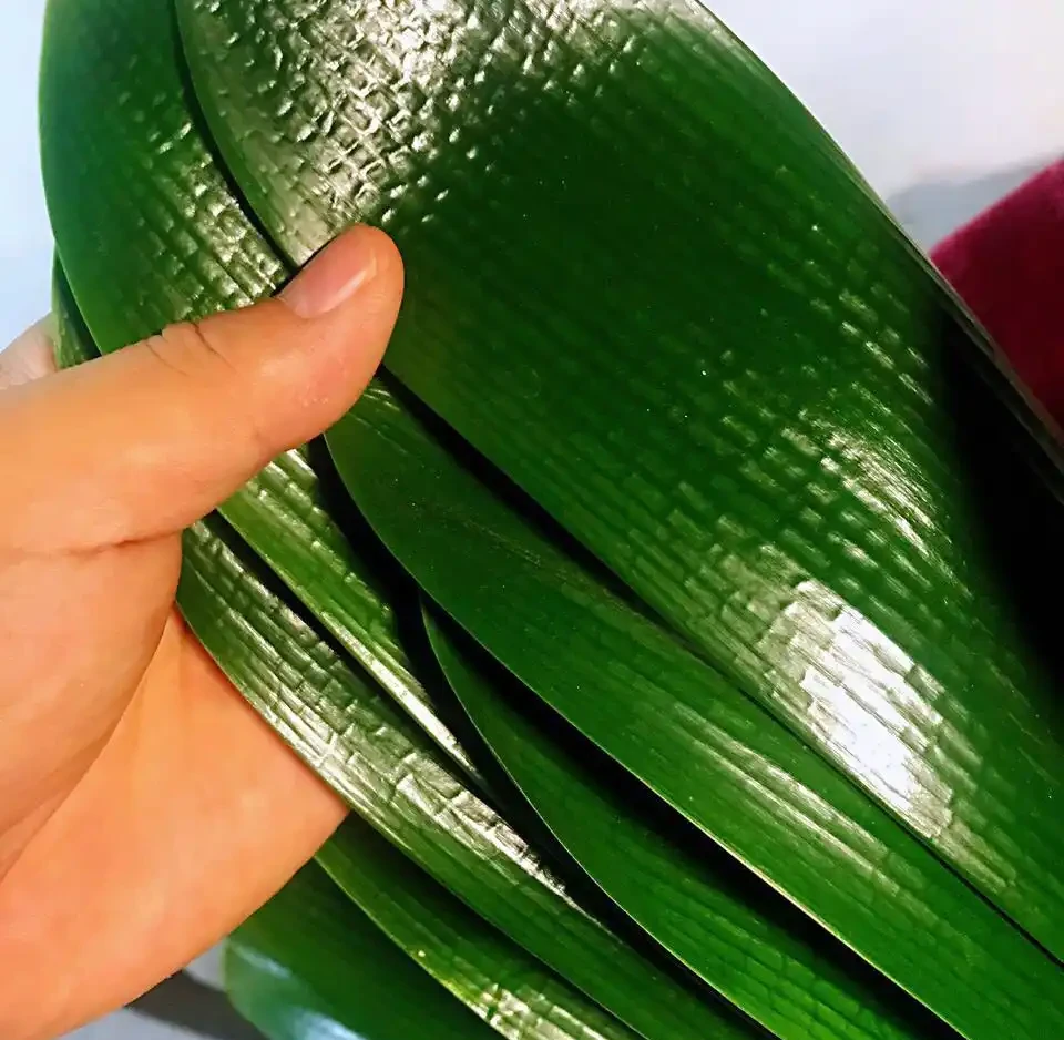 養花想讓葉子綠？學會4個「偏方」，葉子油綠、新芽擠滿盆