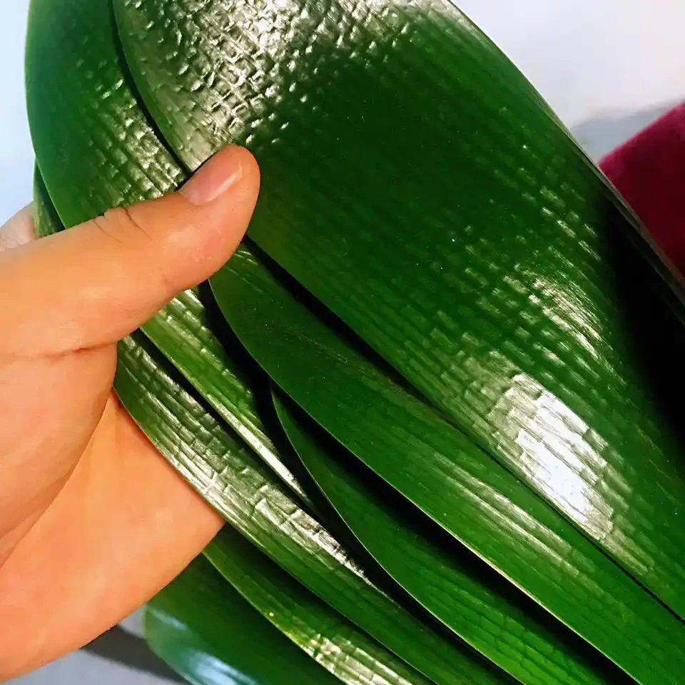 淘米水澆花,用對了有「3大」好處,君子蘭、黃金葛直冒油綠葉