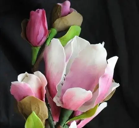 世界上最美麗的50種鮮花（附圖），你認可的有哪些？