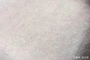 不用花錢買發根粉了，學會5個小妙招，花草長根快輕鬆爆滿盆