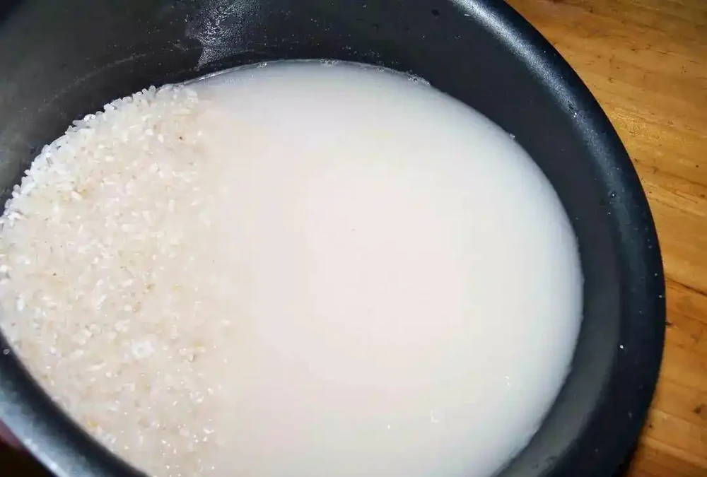 黃金葛最愛喝的4種水,喝完長得賊快,葉子綠出油,垂滿地!