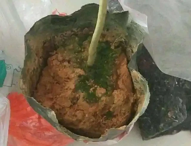 茶花黃葉掉花苞?試試這樣配土,從「根」上解決問題