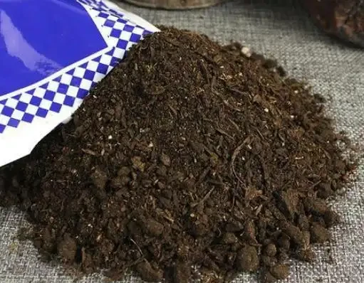 養花用什麼肥料合適?學會2個小妙招,枝葉蹭蹭長、猛開花