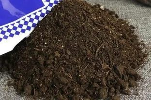 養花用什麼肥料合適？學會2個小妙招，枝葉蹭蹭長、猛開花