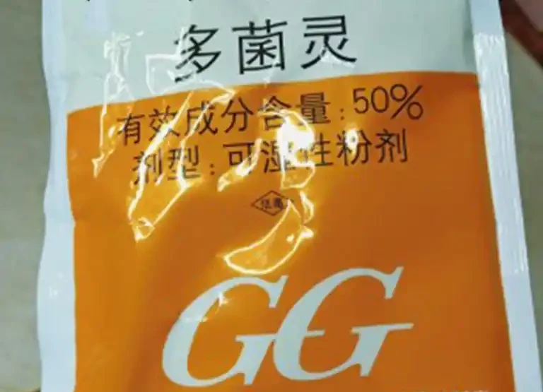 黃金葛葉片長了小黑斑,做好3點有效改善、恢復翠綠髮亮狀態