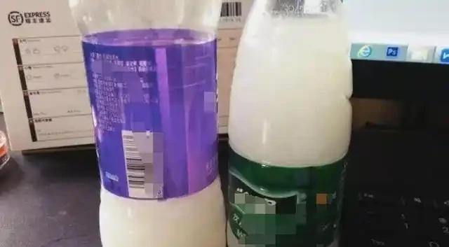 淘米水不要倒掉，簡單一處理澆黃金葛，既能省錢又能增添肥效